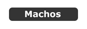 macho pinscher aleman