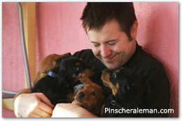 lisard y cachorros mirando