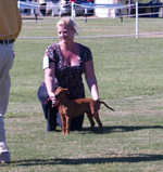 ring pinscher australia