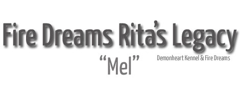 Mel pinscher barcelona