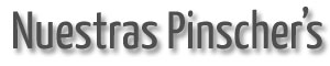 Nuestras hembras