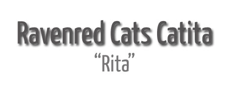 Rita pinscher aleman 