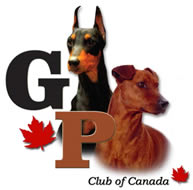 German pinscher club of canada