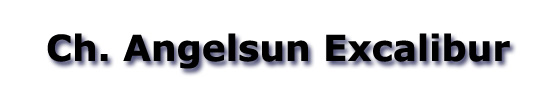 angelsun excalibur pinscher aleman