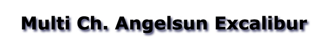 Multi Champion Angelsun Excalibur
