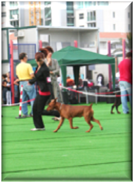 movimiento