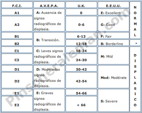 clasificacion de los animales. clasificacion de los animales.