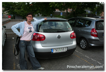 Coche del viaje