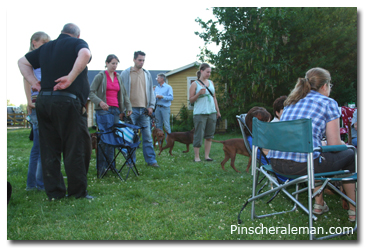 bbq pinscher