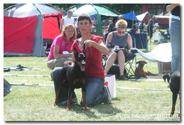 Pinscher aleman