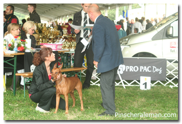 ulf pinscher judge