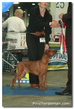 winner european show
