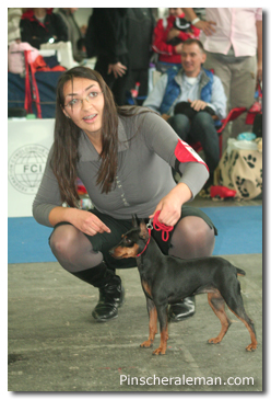 miniature pinscher ring