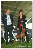 budapest euro dog show