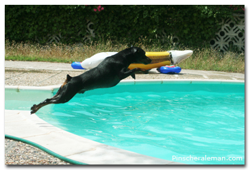 saltand al agua