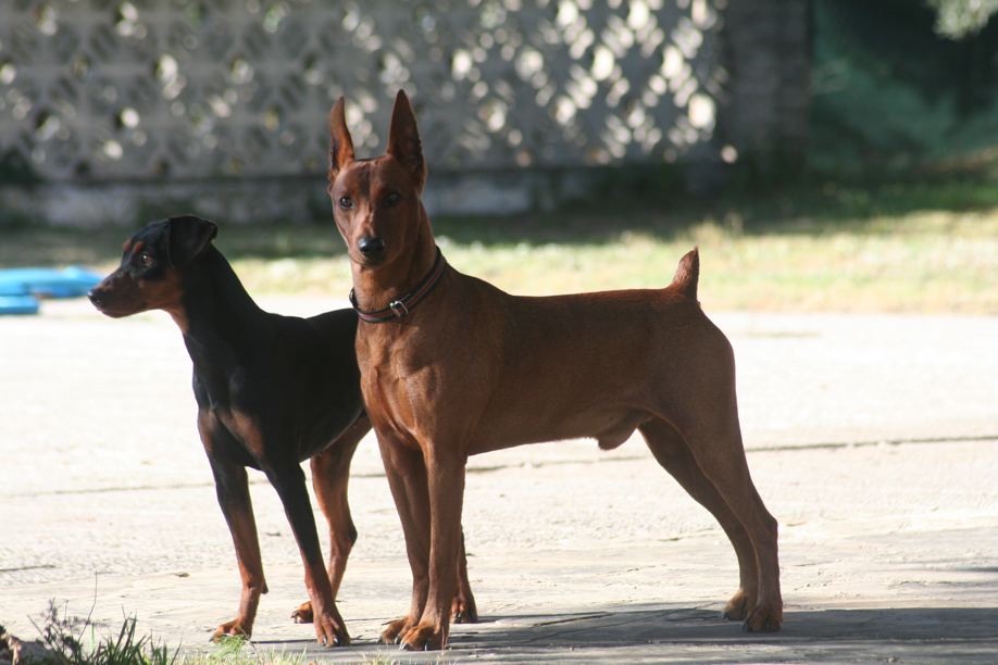 Blade & Pepa