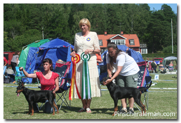 World Dog Show 2008 · Family album