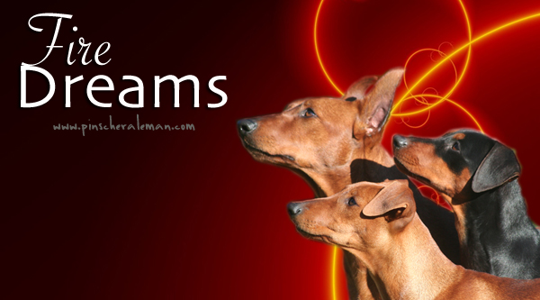 Banner original de Fire Dreams