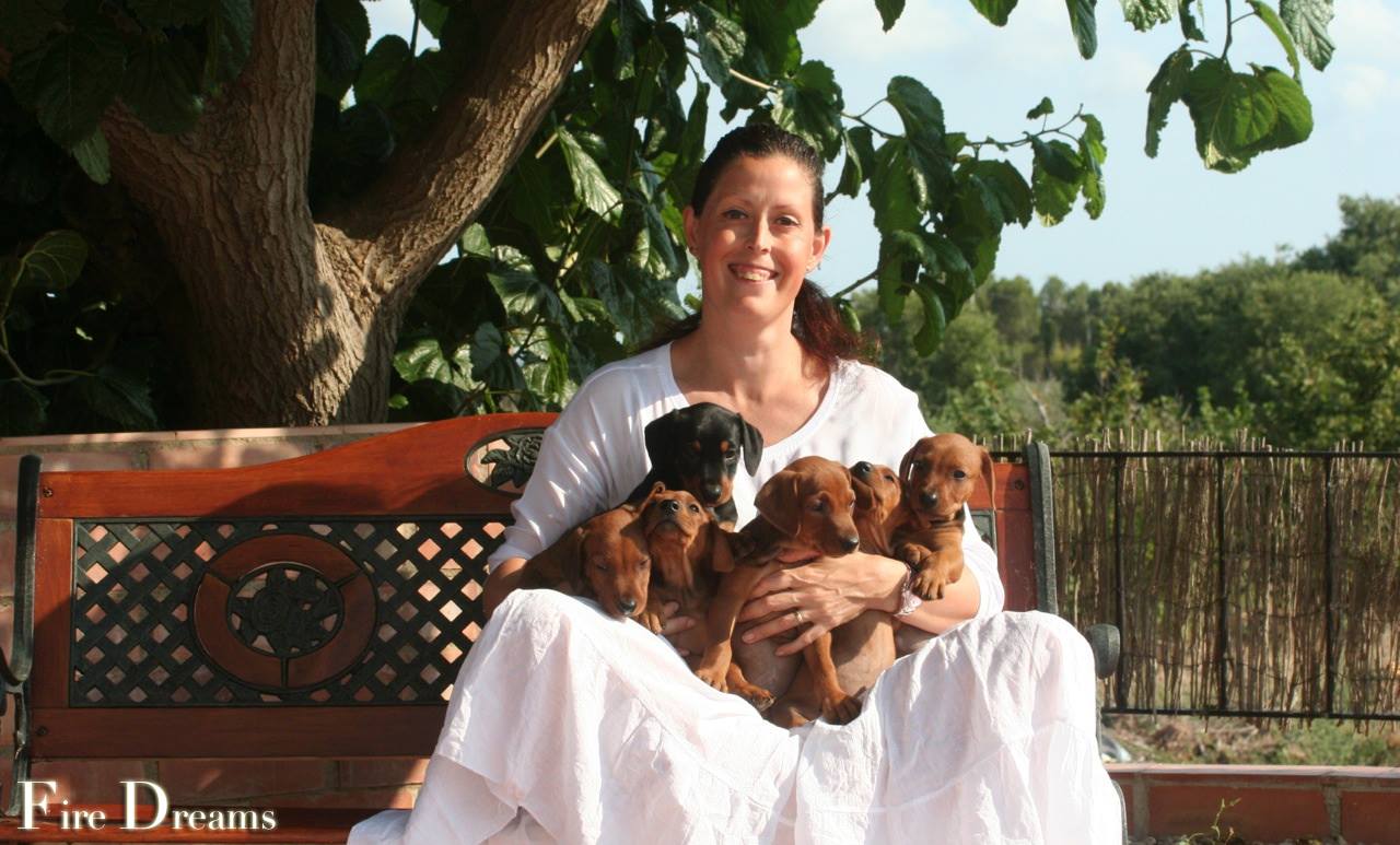 Un momento con cachorros del álbum de Fire Dreams